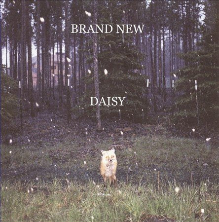 Brand New DAISY