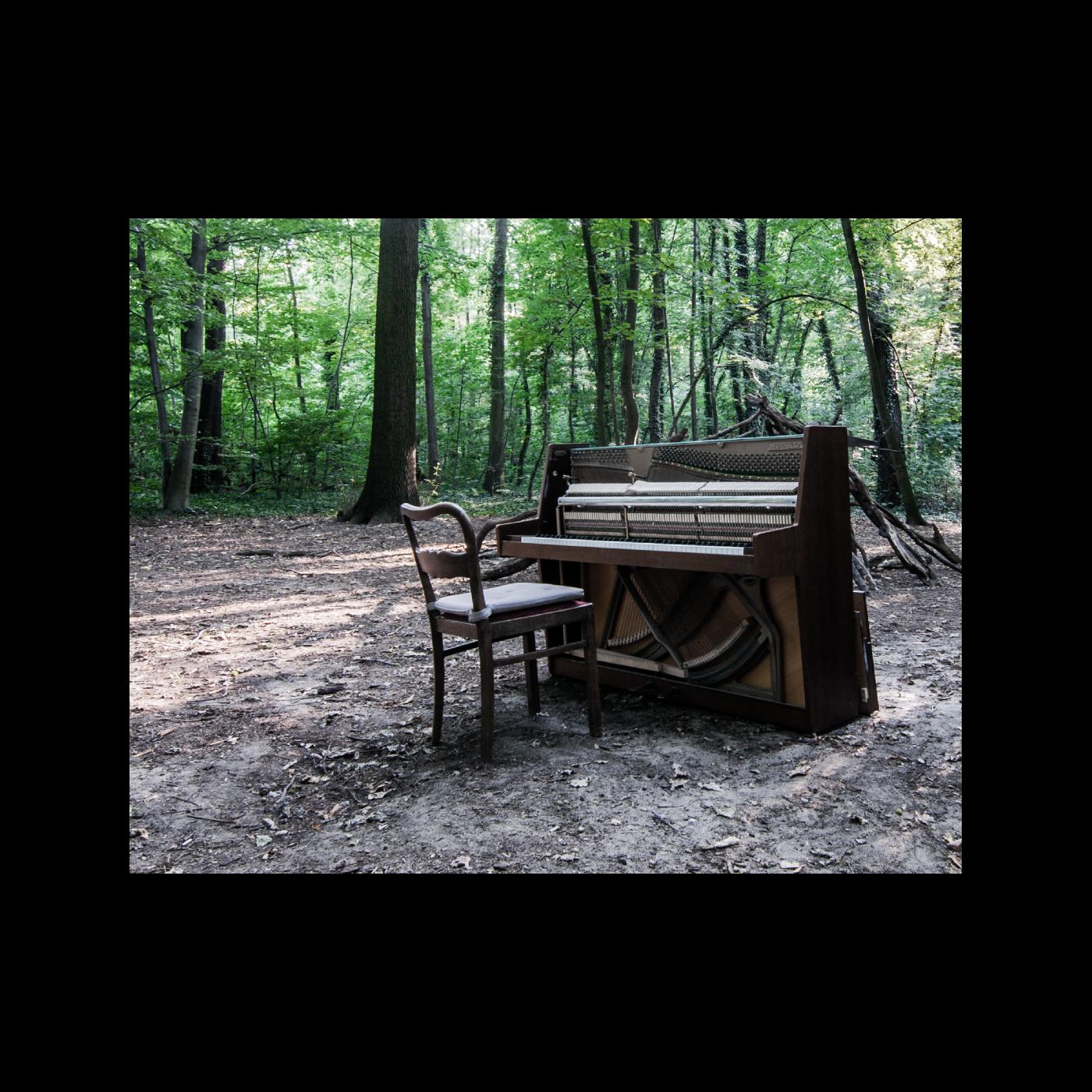 The Eye Of Time Acoustic Ii (Indie Exclusive Coke Bottle Green Vinyl)