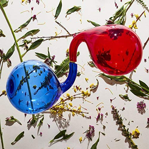 Dirty Projectors Lamp Lit Prose