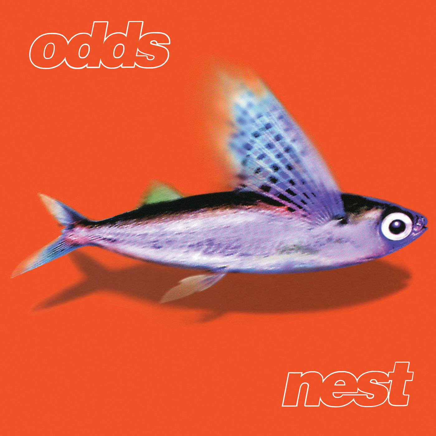 Odds Nest
