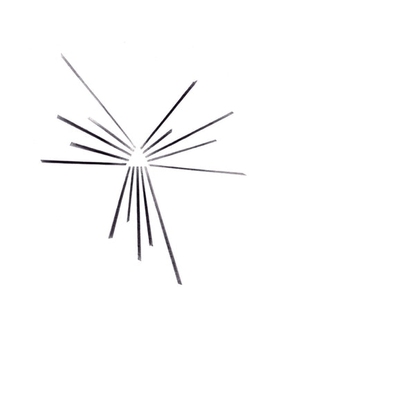 Six Organs of Admittance Mariakapel [Lp]