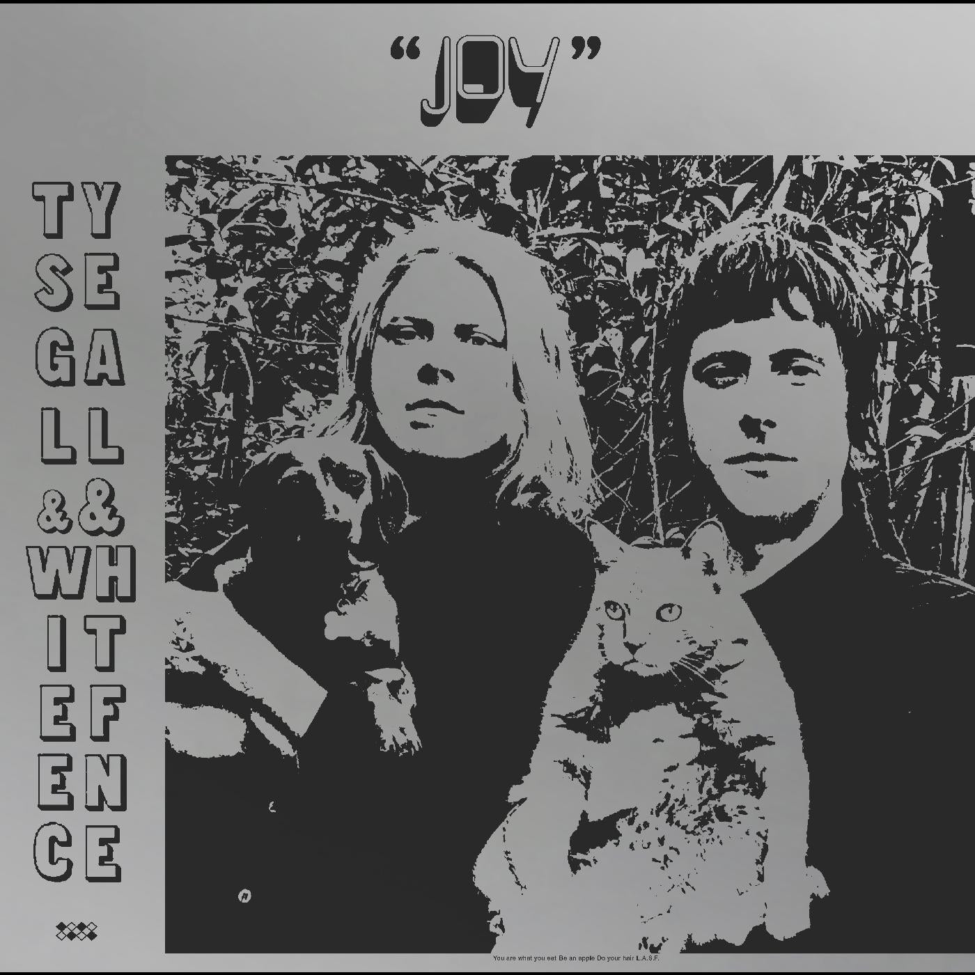 Ty Segall / White Fence Joy